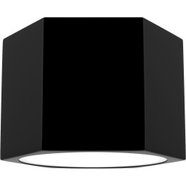 HEXA ES111 Deckenspot / schwarz