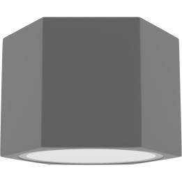 HEXA ES111 Deckenspot / grau