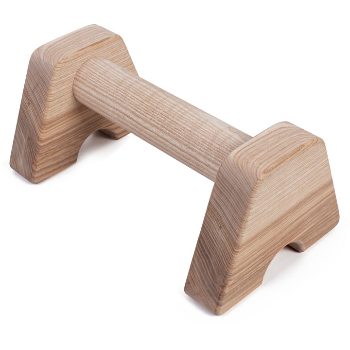 Ash Training Parallettes